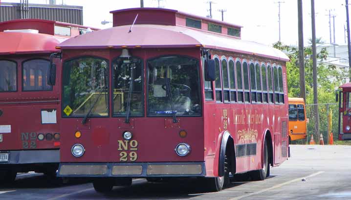 Knoxville Area Transit DuponTrolley 29